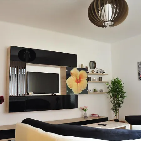 Sierra - Northstar Apartments Braşov Extérieur photo